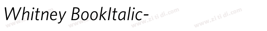 Whitney BookItalic字体转换